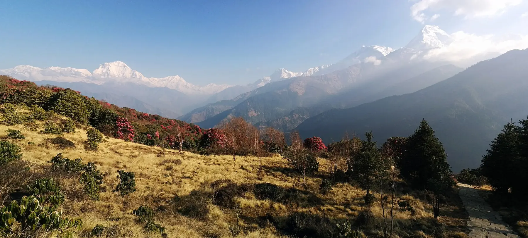 Poon Hill — on the Ghorepani Poon Hill trek route